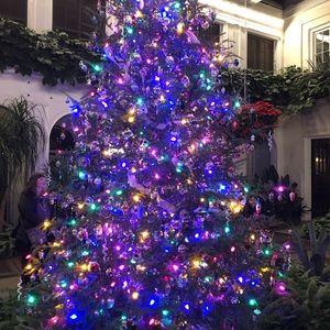 Meet your Posher, Darlene